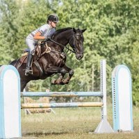 Конкур :: SanSan 