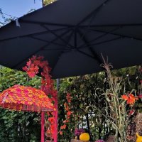 Зеленоградск. Прогуливаясь по Курортному проспекту. :: Ольга 