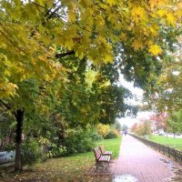 Осенью в городе :: Елена Семигина Осенью в городе :: Елена Семигина