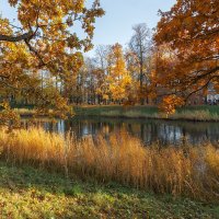 *** :: Александр Кислицын