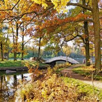 В Монрепо :: Ирина Румянцева