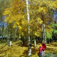 ..в городском  парке :: galalog galalog