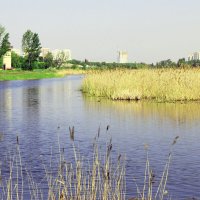 ОЗЕРО :: раиса Орловская