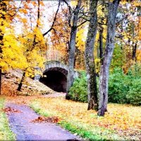 Осень золотая в парках ЦС ... :: Сергей Осень золотая в парках ЦС ... :: Сергей