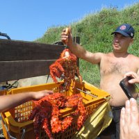 Коробейники :: ИРЭН@ . Коробейники :: ИРЭН@ .