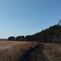 Утро :: Радмир Арсеньев