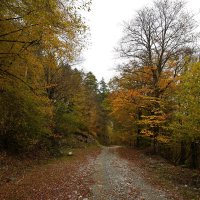 Осень в горах :: Evgeny Mameev