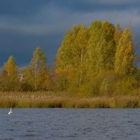 Октябрьским днём.... :: Sergey (Apg)