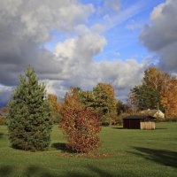 Осенние зарисовки .. :: Татьян@ Ивановна