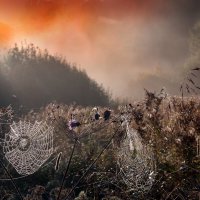 Царицыно 22 сентября :: Михаил Бибичков