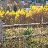 Подмсковные Пейзажи :: юрий поляков Подмсковные Пейзажи :: юрий поляков