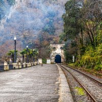 Собаки :: Eugene *