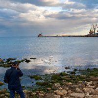 коллега :: Эдуард Тищенко