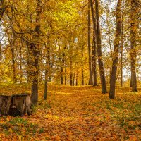 Осень :: Анатолий Шумилин