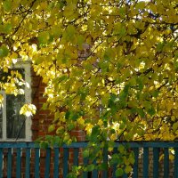 В комнату игриво осень заглянула... :: Татьяна Смоляниченко В комнату игриво осень заглянула... :: Татьяна Смоляниченко