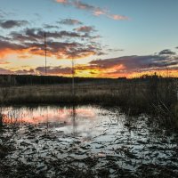 полыхнуло к заморозку :: сергей 