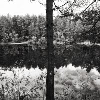 Фотография :: Денис Безногов