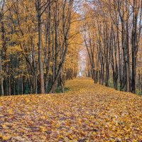 Про Питер :: Владимир Колесников