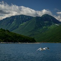 ... :: Жора Житников ... :: Жора Житников