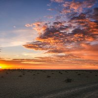 закат в Гоби 2 :: Galina 