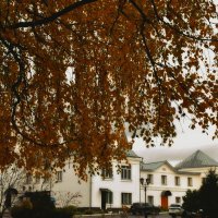 Ах, какие косы у берёзы! :: Татьяна Помогалова