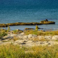 Отмель :: Анатолий Чикчирный