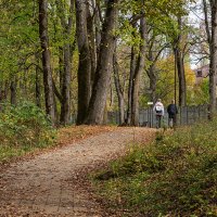 Прогулка по осеннему лесу :: Игорь Сикорский