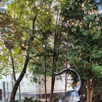 Зеленоградск. :: Ольга 