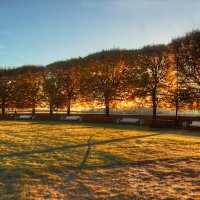 *** :: Сергей Григорьев