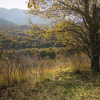 Погожий октябрьский денек :: LudMila 