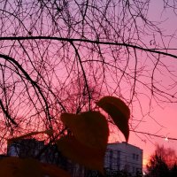 Рассвет :: светлана льдокова