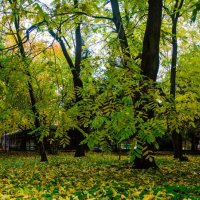 По осеннему :: Галина Ложечникова