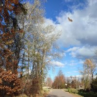 Очей очарование... :: Ирина Очей очарование... :: Ирина