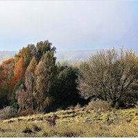 Лес в туманной дымке. :: Валерия Комова Лес в туманной дымке. :: Валерия Комова