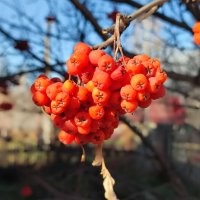 Сегодня солнечный день :: Валентина Богатко 