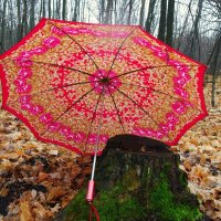 С разноцветным зонтиком весело под дождиком! :-) :: Андрей Заломленков