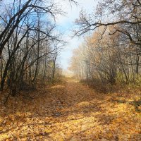 О погожих днях в октябре... :: Андрей Заломленков О погожих днях в октябре... :: Андрей Заломленков