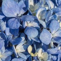 *** :: Виктор Иванович Чернюк