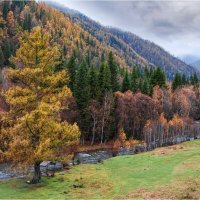 *** :: Алексей Мезенцев