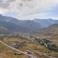 *** :: Марина Виноградова