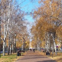 Солнечный день октября :: Венера Чуйкова