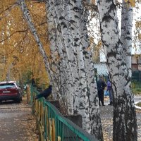 Утро октября :: Венера Чуйкова