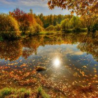 Золотой октябрь :: Наталья Лакомова
