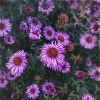 * :: AZ east3 * :: AZ east3