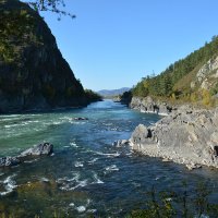 Устье р.Чемал :: Валерий Медведев
