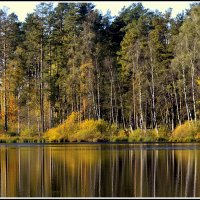 ПИК ОСЕНИ.... :: Aleksandr Gal