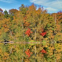 Зеркало осени :: Андрей K.