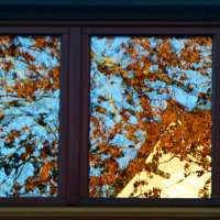 Осень 11 :: Алексей Кузнецов