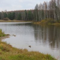 *** :: НАТАЛЬЯ 