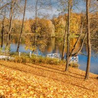 Осень :: Владимир Колесников